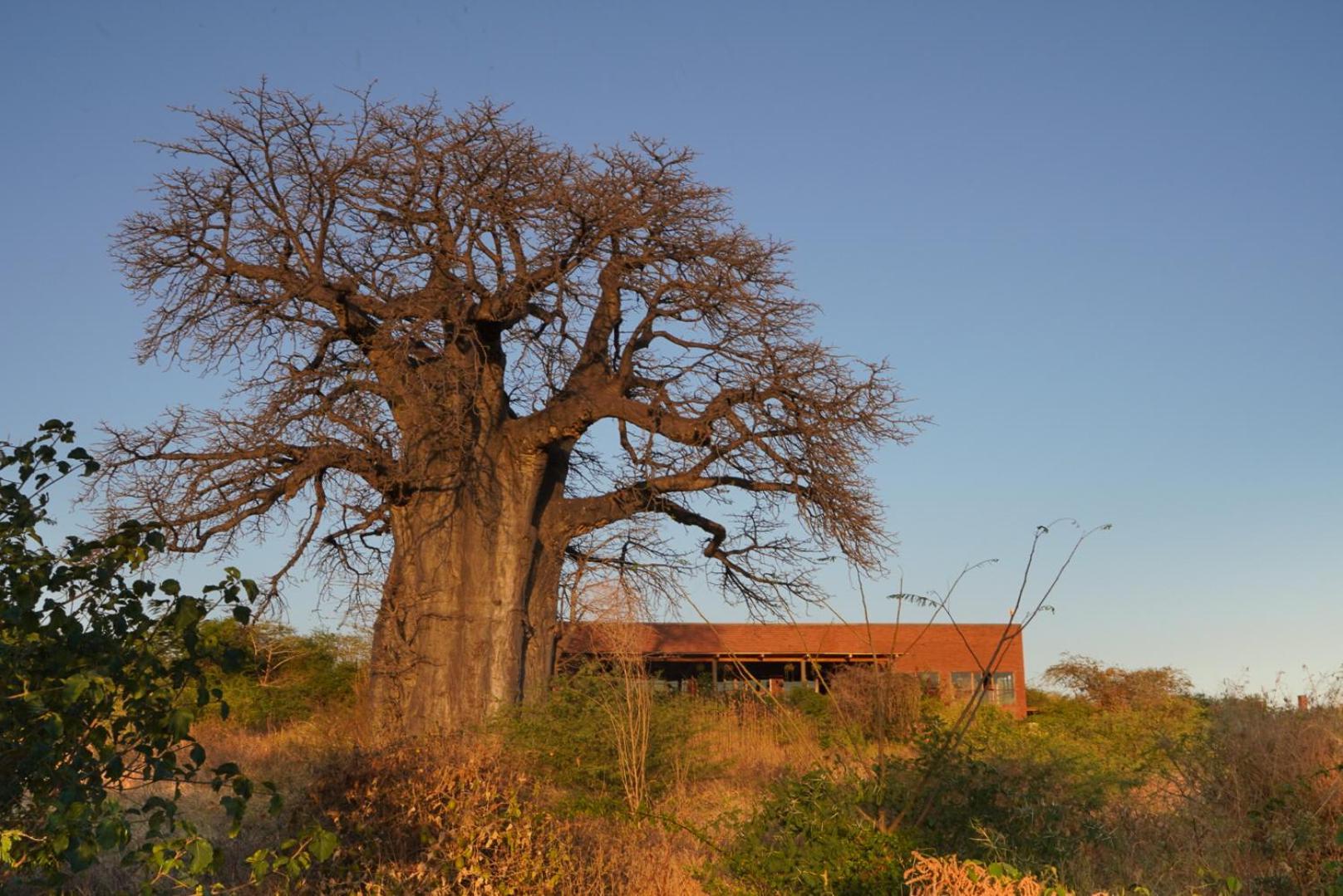 Suricata Boma Lodge Mto wa Mbu Exterior photo